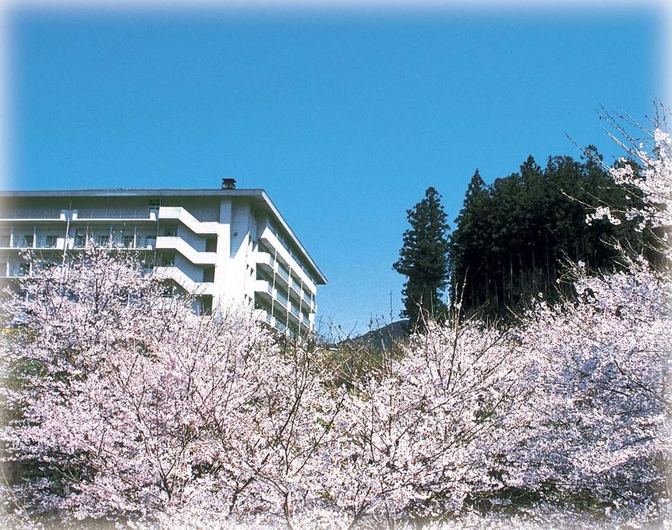 Hinotani Onsen Misugi Resort Tsu Zewnętrze zdjęcie